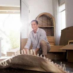 Filtrete 16x20x1 Smart Air Filter Allergen Bacteria And Virus 1500 MPR: MERV 12 Electrostatic Furnace Filter 24 Filtrete 16x20x1 Smart Air Filter Allergen Bacteria And Virus 1500 MPR: MERV 12 Electrostatic Furnace Filter -Lasko Sale Store GUEST 0da3e93d 499b 41b3 98f3 0a4d88a66d76 13