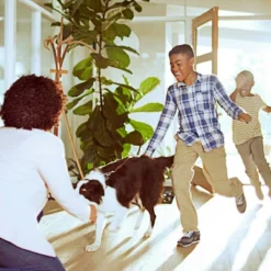 Filtrete 20" X 20" MPR 700 Dust Pollen And Pet Dander Electrostatic Air Filter: MERV 8, Furnace & AC, 3-Month Use 22 Filtrete 20" X 20" MPR 700 Dust Pollen And Pet Dander Electrostatic Air Filter: MERV 8, Furnace & AC, 3-Month Use -Lasko Sale Store GUEST 22789213 a39a 4cde b345 5dcb75e25eab 21