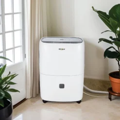 Whirlpool 50 Pint Dehumidifier EStar 23 Whirlpool 50 Pint Dehumidifier EStar -Lasko Sale Store GUEST 43d7cbb9 e2a2 4a42 accc 8b2549990c67 1