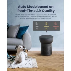 TCL Breeva A2 Air Purifier And Humidifier, Up To 882 Sq Ft, 4-Stage True HEPA (H13), Removes 99.97% Of Dust, Bacteria, Odors & More, A214B Black -Lasko Sale Store GUEST 4892cea1 f0d4 46e6 9e8d 2a75e85b0ede