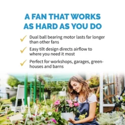 Lasko Sale Store -Lasko Sale Store GUEST d800361b d67c 4d42 b03e a8c4fe7a3697